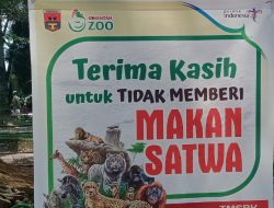 Mengapa Pengunjung Dilarang Memberi Makan Satwa di Kebun Binatang?