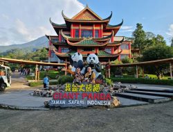 Berinteraksi Dengan Aneka Satwa Langka di Taman Safari Indonesia