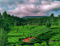 6 Tempat Wisata Terbaik di Kota Bandung Wajib Anda Kunjungi