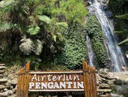 Rekomendasi Air Terjun Ngawi yang Cocok Untuk Healing