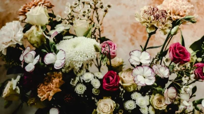 Seruni, Anyelir, dan Kamboja (Foto: pexels)