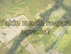 Paradoks Indonesia: Negara Agraris yang Mengimpor Bahan Pangan