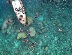 Palsu dan Merugikan: Fenomena Ecotourism dengan Klaim Palsu