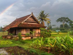 Sedang Ngetren Gaya Hidup Homestead, Apa Itu?
