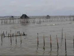 Polemik Pagar Laut Tangerang dan Bekasi
