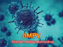 Virus Baru di China, “HMPV”
