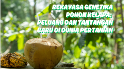 Ilustrasi Rekayasa Genetika Kelapa (Foto: Freepik - Edit: YettiRock)