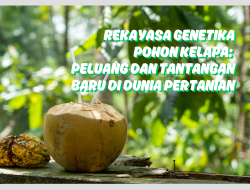 Rekayasa Genetika Pohon Kelapa: Peluang dan Tantangan Baru di Dunia Pertanian
