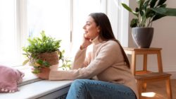 Apa Itu Soft Life? Cara Membangun Gaya Hidup Lebih Tenang dan Bahagia